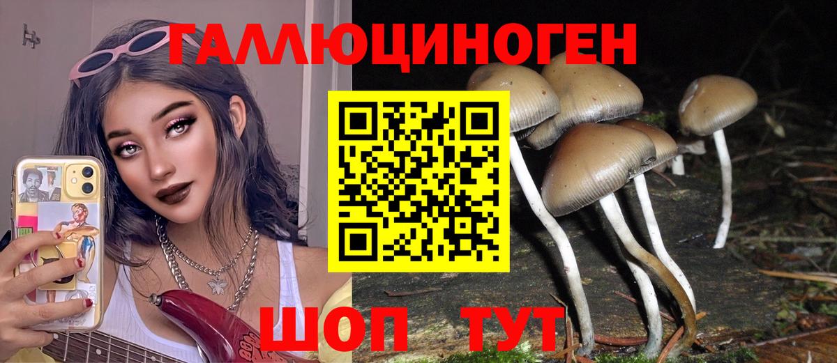 Галлюциногенные грибы прущие грибы Трёхгорный